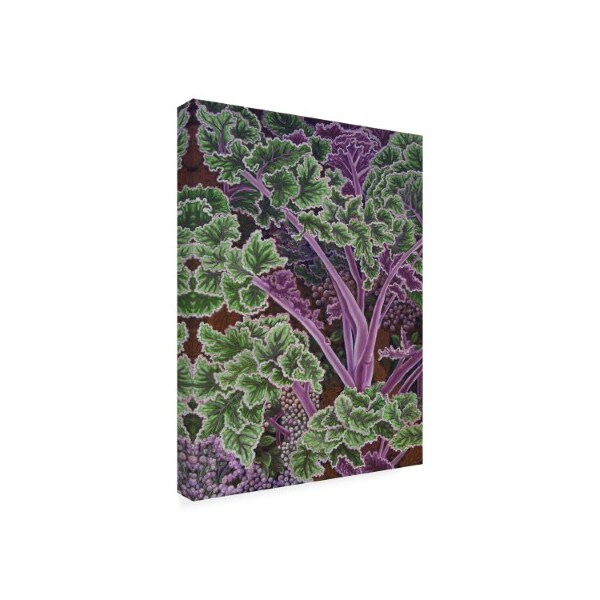 Andrea Strongwater 'Cabbage Stalks' Canvas Art,18x24
